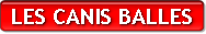 4_canis balles.pdf 4_canis balles.pdf